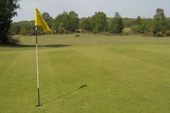 18 Holes of Golf For Two from £18 at New Forest Golf Club (59% Off)